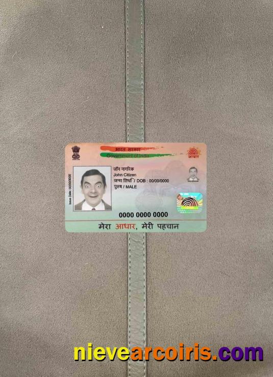 India Aadhaar PVC Card photolook
